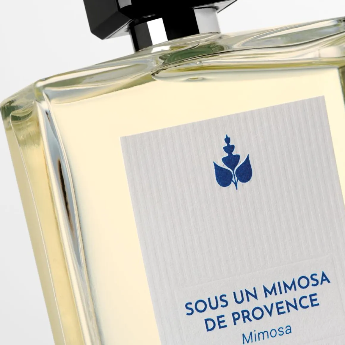 Sous Un Mimosa De Provence Intense Kopen