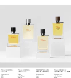Terre D'Hermes Eau Givree Parfum Kopen