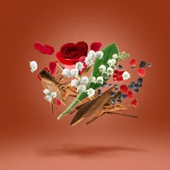Xerjoff Damarose Parfum Kopen