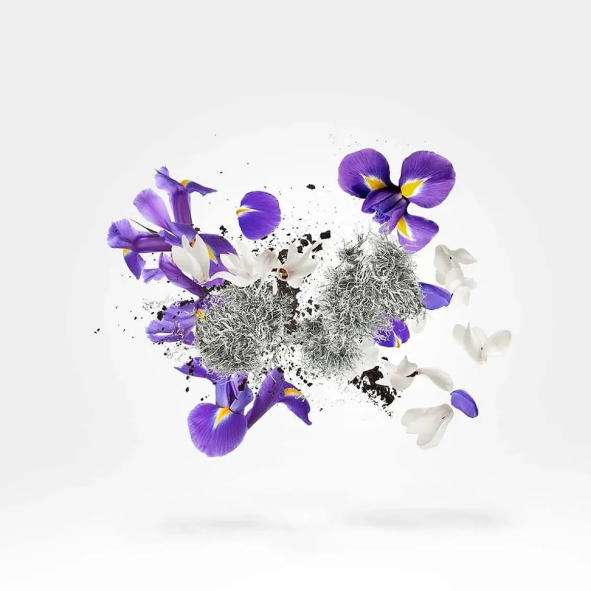 Xerjoff Shooting Stars Apollonia Parfum