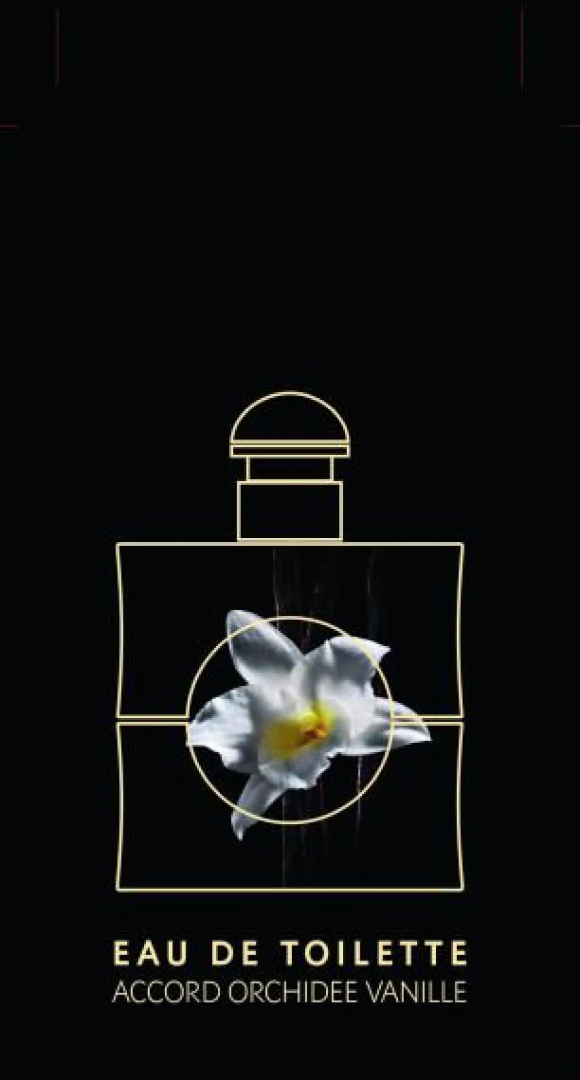 Yves Saint Laurent Opium Kopen